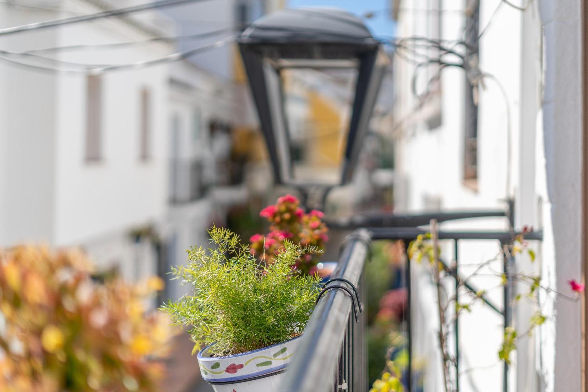 Las Brisas Estepona Exteriér fotografie